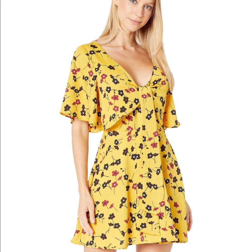 BCBG dress